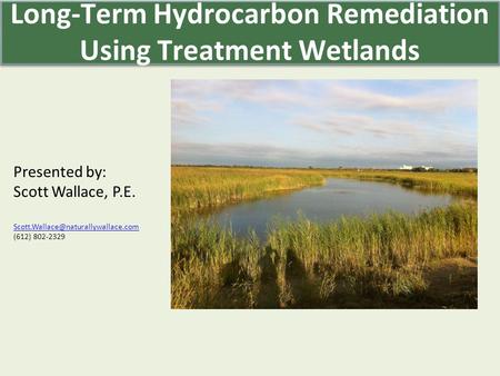 Presented by: Scott Wallace, P.E. (612) 802-2329 Long-Term Hydrocarbon Remediation Using Treatment Wetlands.