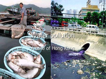 Water pollution A case of Hong Kong. Water conditions in HK Beach water quality Beach water quality Beach water quality Beach water quality Marine water.