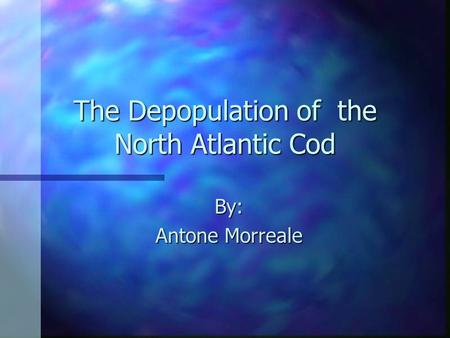 The Depopulation of the North Atlantic Cod By: Antone Morreale.