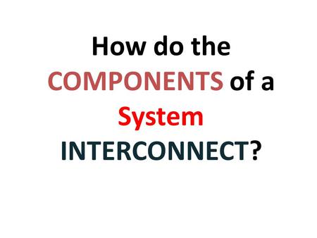 How do the COMPONENTS of a System INTERCONNECT?  Animation of Digestion.