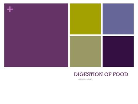 + DIGESTION OF FOOD GROUP 6 - DAD. + OBJECTIVES 1.TO BE ABLE TO SHOW THE DIGESTION OF A CARBOHYDRATE BY SALIVA AND PANCREATIC JUICE. 2.TO SHOW THE EFFECT.