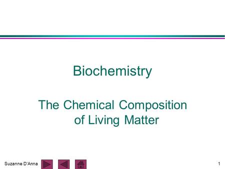 Suzanne D'Anna1 Biochemistry The Chemical Composition of Living Matter.