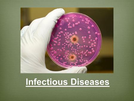 Infectious Diseases.