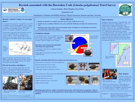 Bycatch composition differs between northern sites and southern sites. At the northern sites, horseshoe crab were associated with: little and winter skate.