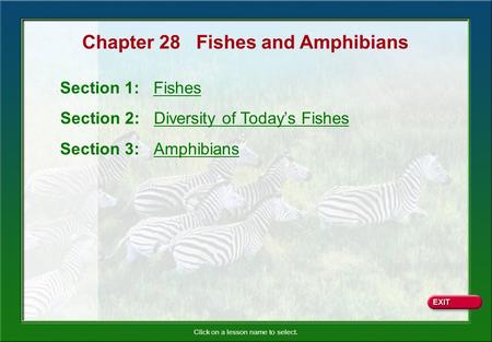 Chapter 28 Fishes and Amphibians