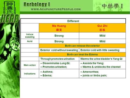 Different Ma Huang 麻黄 Gui Zhi 桂枝 Induce sweating StrongMild Acrid StrongMild Both can release the exterior Exterior cold without sweatingExterior cold.