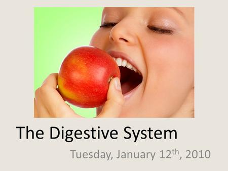 The Digestive System Tuesday, January 12 th, 2010.