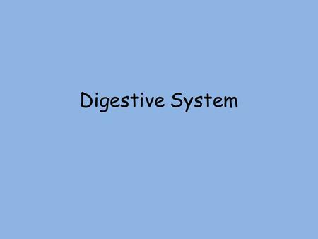 Digestive System. Gastrointestinal (GI) Tract GI or alimentary canal – continuous, coiled, hollow tube that winds through ventral body cavity from mouth.