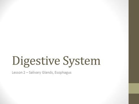 Digestive System Lesson 2 – Salivary Glands, Esophagus.