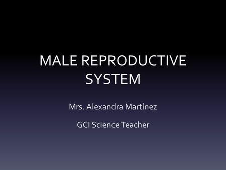 MALE REPRODUCTIVE SYSTEM