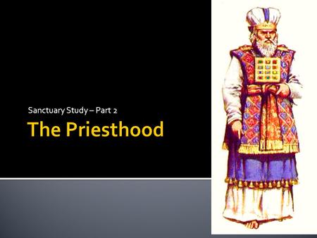 Sanctuary Study – Part 2 The Priesthood.