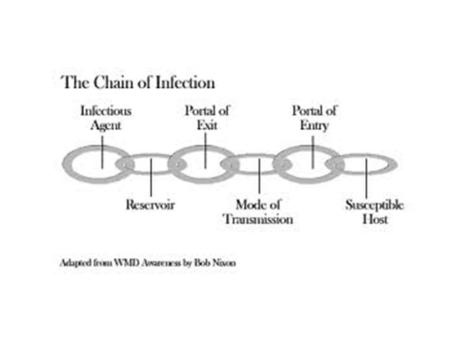 Immune System  / “HIV has inflicted the single greatest reversal in human development in modern history” UNAIDS Report.