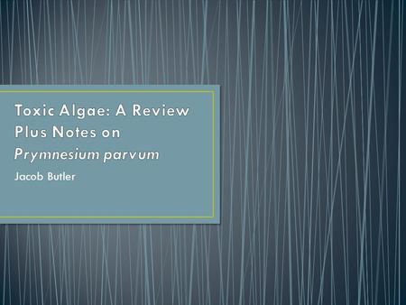 Jacob Butler. Algal communities and diversity Trends in succession Algal toxins and toxin production Allelopathy and allelochemicals Toxic algae found.