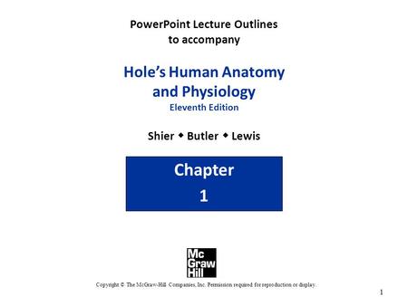 PowerPoint Lecture Outlines to accompany Hole’s Human Anatomy and Physiology Eleventh Edition Shier w Butler w Lewis Chapter 1 Copyright © The McGraw-Hill.