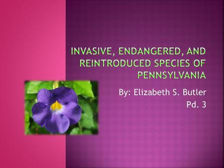 By: Elizabeth S. Butler Pd. 3. An Endangered Species is a species of animal that is on the brink of extinction. The endangered animal is usually close.