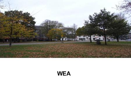 WEA. The World Education Alliance (WEA) is an organization which aims to promote the exchange ideas in the field of education and culture. It aims to.