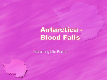 Interesting Life Forms. Background Evolving independently of the rest of the living world, these microbes exist in a place with no light or free oxygen.