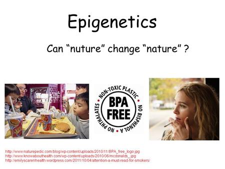 Epigenetics