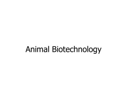 Animal Biotechnology.