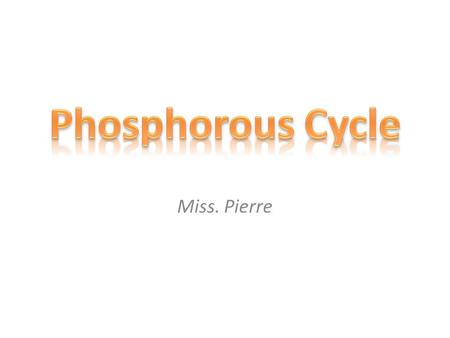 Miss. Pierre. Phosphorus is an essential nutrient for plants and animals in the form of ions PO 4 3- and HPO 4 2-. It is a part of DNA and RNA molecules,