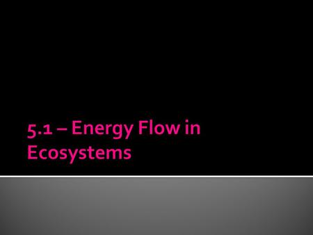 How do you get energy? How is this similar and different to the ways that other organisms get their energy? Give specific examples. - Write in complete.