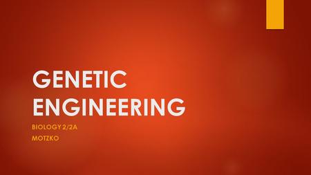 GENETIC ENGINEERING BIOLOGY 2/2A MOTZKO. Flavr Savr (1994) Combined tomato antisense (mutated) DNA to prevent the ripening process.