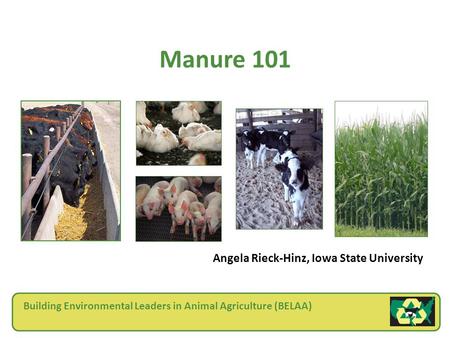 Building Environmental Leaders in Animal Agriculture (BELAA) Manure 101 Angela Rieck-Hinz, Iowa State University.