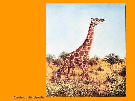 Giraffe, Julia Sweda.