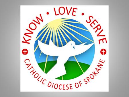 Overview Planning Goals How Did We get Here? Where Are We Going? Who Will Get Us There? Tools for the Journey Leadership Summit Pastoral Letter Parish.