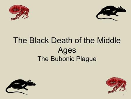 The Black Death of the Middle Ages The Bubonic Plague