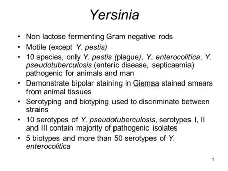 Yersinia Non lactose fermenting Gram negative rods