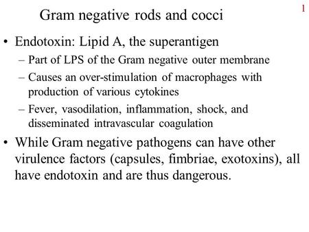 Gram negative rods and cocci