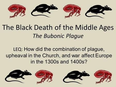 The Black Death of the Middle Ages The Bubonic Plague