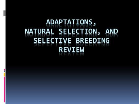 Question 1 – 1 point  Define adaptation. Question 1 – 1 point  Define adaptation.  a change in characteristics that allows an organism to better survive.