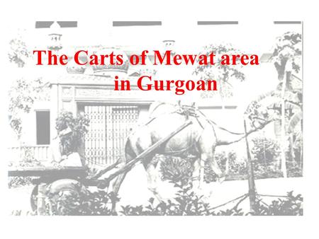 The Carts of Mewat area in Gurgoan. Bullock Cart system : 1994 - 15 million bullock carts 12 million rural carts - 750 kg for about 100 days a year. average.