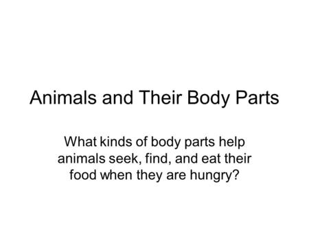 Animals and Their Body Parts