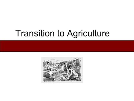 Transition to Agriculture. Subsistence Patterns - Characteristics Food Foraging: hunting, fishing, & gathering wild plant foods. Horticulture: cultivation.