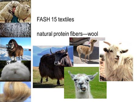 FASH 15 textiles natural protein fibers—wool. natural protein fibers are of animal origin wool & specialty wools—hair & fur of animals silk—secretion.