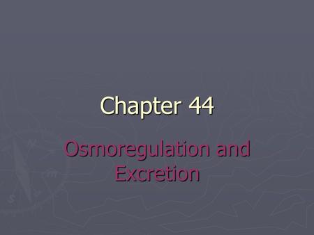 Osmoregulation and Excretion