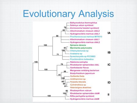 Evolutionary Analysis. Tree Mathematical structure Model evolutionary history.