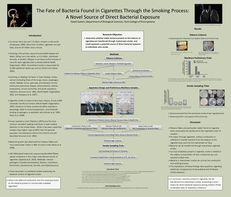  In conclusion, bacteria present in cigarettes can be transferred into mainstream smoke, presenting a novel means for direct bacterial exposure among.