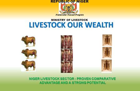 REPUBLIC OF NIGER Fraternité Travail Progrès MINISTRY OF LIVESTOCK LIVESTOCK OUR WEALTH NIGER LIVESTOCK SECTOR : PROVEN COMPARATIVE ADVANTAGE AND A STRONG.