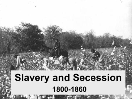 Slavery in the North Though legal, slavery was largely unnecessary in the North. By 1804, all Northern states had outlawed slavery within their borders.