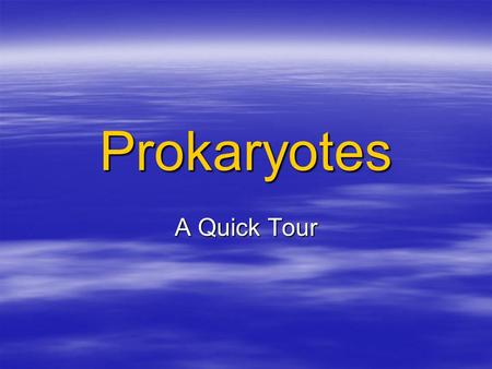 Prokaryotes A Quick Tour. Bacteria Video  Bacteria Video Bacteria Video Bacteria Video.