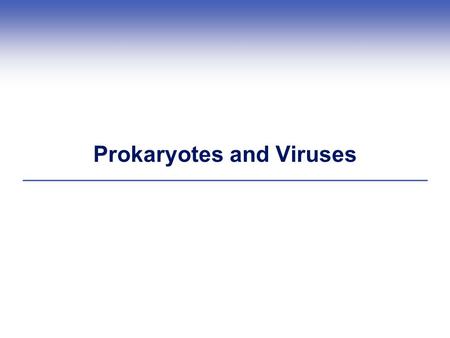 Prokaryotes and Viruses