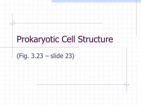 Prokaryotic Cell Structure (Fig. 3.23 – slide 23).