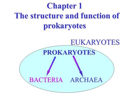 Chapter 1 The structure and function of prokaryotes EUKARYOTES EUKARYOTES PROKARYOTES BACTERIAARCHAEA.