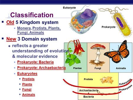 AP Biology Archaebacteria & Bacteria Classification  Old 5 Kingdom system  Monera, Protists, Plants, Fungi, Animals  New 3 Domain system  reflects.