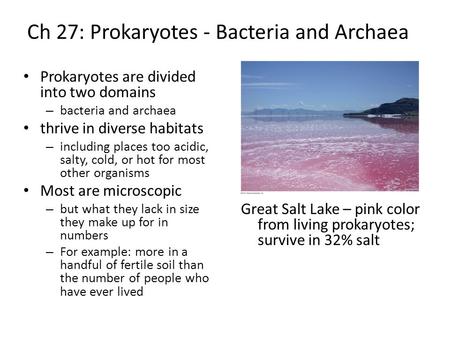 Ch 27: Prokaryotes - Bacteria and Archaea