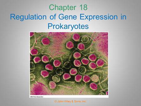 Chapter 18 Regulation of Gene Expression in Prokaryotes